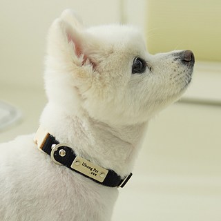 이름 무료 각인 순면 강아지 목줄 소형견 중형견, 블랙, 1개