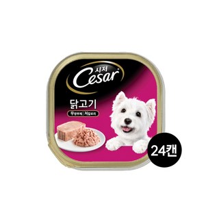 시저 애견 주식 캔 100g, 닭, 24개