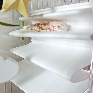 크레 사육장 아파트 백업 크레스티드게코 도마뱀 파충류 은신처