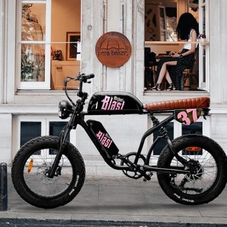 전기자전거 자토바이 마이클 블라스트 리밋 에디션 E30 48V 15Ah+15Ah