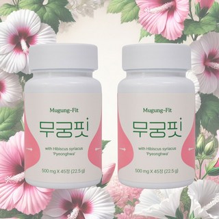3. [공식] 무궁핏..
