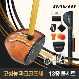 데이비드 프리미엄 파크골프채 세트상품 DP300 + 파크골프 사은품 프리미엄 DP300 여성 상품 이미지