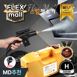 플렉스몰 핸드 스팀 청소기 H