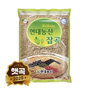 현대농산 국산 늘보리 2kg, 1개