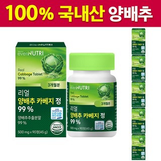 에버뉴트리 리얼 양배추 카베지 정