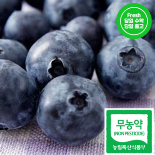 [당일수확] 무농약 국산 고당도 생 블루베리 생과 블루베리, 6세트, 국내산 생 블루베리 12-16mm 100g