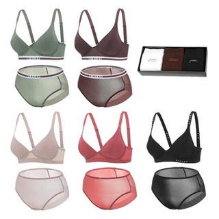 시슬리 25SS 시그니처 브라팬티 5세트 + 양말 3종