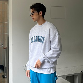 일리노이 상품 구매 적기
