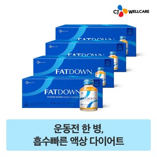 CJ 팻다운 파워번 마스터 가르시니아 10병, 1L, 4박스