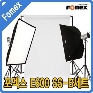 포멕스 E600 사진조명 사용 모습