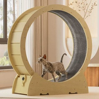 캣휠 고양이 런닝머신 장난감 무소음 원목 베어링, 1개