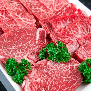 1++ 한우 특수부위 구이 모듬3종 총600g 소고기한판 투뿔한우 구이용 눈꽃 마블링, 1개, 600g