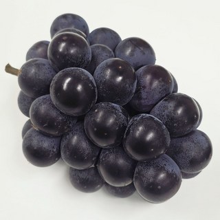 마이팜 프리미엄 비파괴 당도체크 국내산 거봉, 1개, 2kg (3-4수)