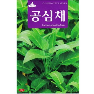 영농사 공심채 씨앗 10g 모닝글로리씨, 1개