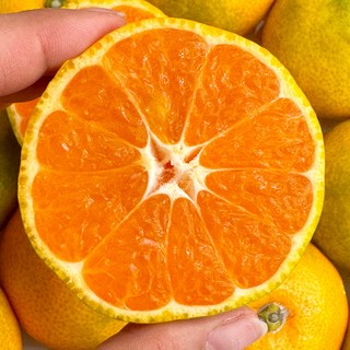만들어봄 제주 하우스감귤 여름제철감귤 프리미엄 가정용 선물용 2kg 3kg 5kg 제주농장직송, 1개, 2kg (소중과) 가정용