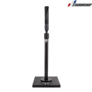 프랭클린 야구 배팅티 사용 모습