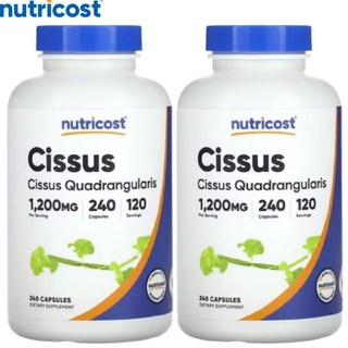 뉴트리코스트 시서스 추출물 Cissus 케토스테론 1200mg(2캡슐당) 240캡슐 2개, 240정, 1개