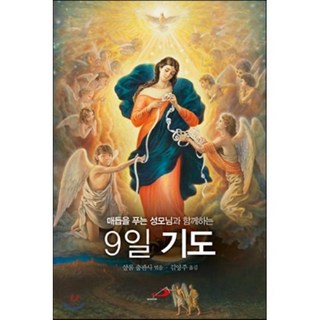 매듭을 푸는 성모님과 함께 하는 9일 기도 성바오로출판사 샬롬 출판사 편/김영주 역 상품 이미지