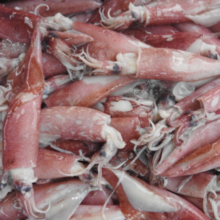 [산지직송] 자연산 급냉 한치 제철, 2개, 500g 내외 (15~25미)