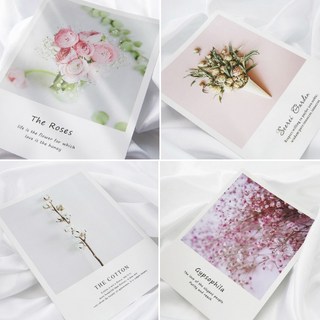 감성 식물포스터 벽포스터 엽서 4장SET, 핑크 SET