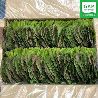 밀양깻잎