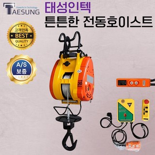 태성인텍 튼튼한 전동호이스트 크레인 윈치 화물 기중기 공장 물류운반 유무선컨트롤, 1개