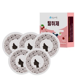 욕실의여왕 다목적 생활 탈취제 본품 블랙체리향, 230g, 5개