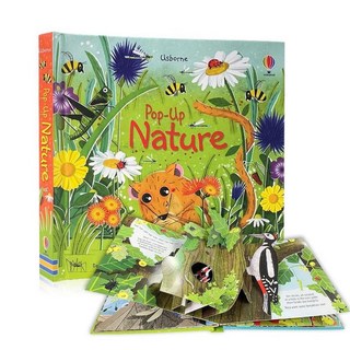 팝업 동화 그림책 골판지 색칠 활동 취침 시간 이야기 책 학습, 1개, 4. Nature