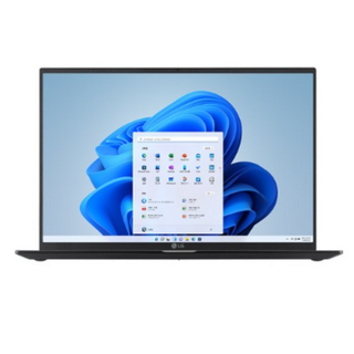 LG전자 울트라PC 16U70Q-GA76K 상세 정보