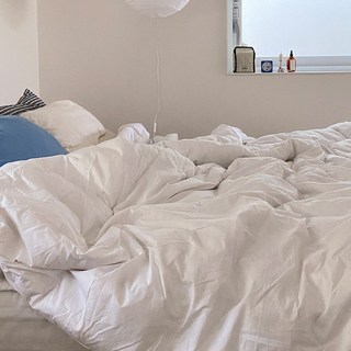르올 마약 구스 이불 거위털 다운 사계절용 거위털이불, 화이트