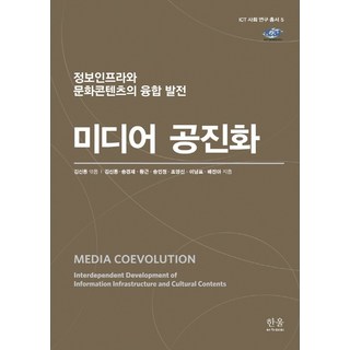 미디어 공진화: 정보인프라와 문화콘텐츠의 융합 발전
