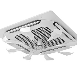 4. 쿼카씨 천장형 ..