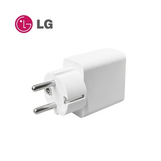 LG센터 정품 GAN 65W 어댑터 C타입 노트북 PD 충전기 접지형 LP65WGC20P, 1개