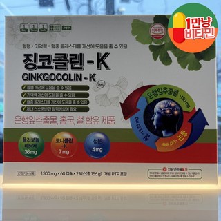 징코콜린-K 120캡슐 혈액순환부터 기억력까지! 뇌 건강을 위한 영양 솔루션 징코콜린 대표 이미지 - 뇌영양제 추천