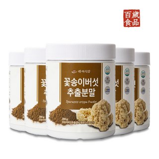 꽃송이버섯 추출분말 200g HACCP 인증제품, 500g, 5개