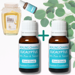 식용 유칼립투스 오일