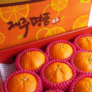 [더조은푸드] 제주직송 고당도 레드향 10kg, 레드향 10kg (혼합과) 대과+왕특과