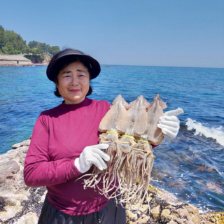 오징어엄마 원양산 마른오징어 건오징어 건조오징어, 1개, 마른 [왕특대] 10마리 1kg