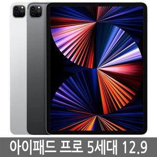 아이패드 프로 5세대 12.9