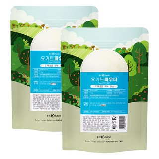 흥국에프엔비 요거트 파우더, 1kg, 1개입, 2개