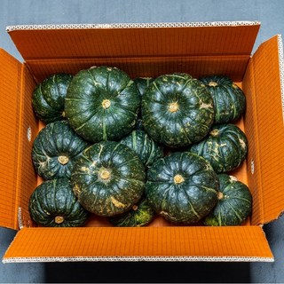 제주미니밤호박 단호박(보우짱)2.0kg 정품특과 5~10과//2개주문시 4.5kg 발송, 1박스, 보우짱 특품2kg
