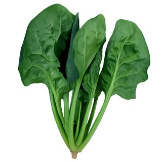 맛통령 국내산 시금치, 1개, 1kg