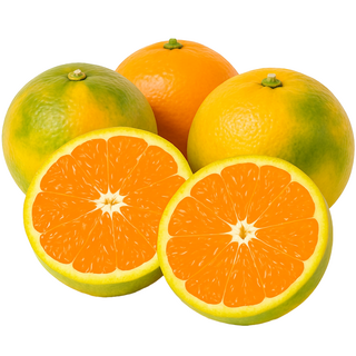 만들어봄 제주 하우스감귤 여름제철감귤 프리미엄 가정용 선물용 2kg 3kg 5kg 제주농장직송, 1개, 3kg (소중과) 가정용