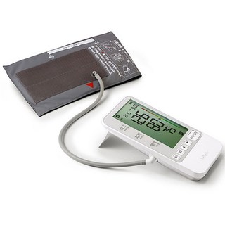 인바디 가정용 자동전자 혈압계 혈압측정기 BP 170B