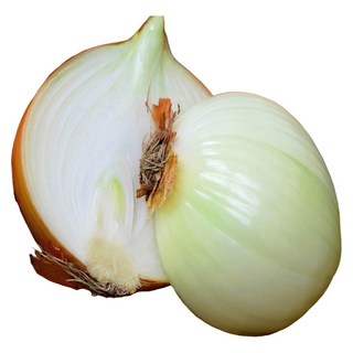 초특가 일등농수산 산지직송 국내산 25년 깐양파, 1개, 5kg 소 (정품)