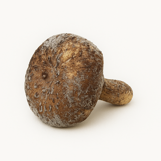 [금강송이무역] 자연산 능이버섯 냉동 [특품], 1kg(A급, 냉동, 7~10 cm), 1개