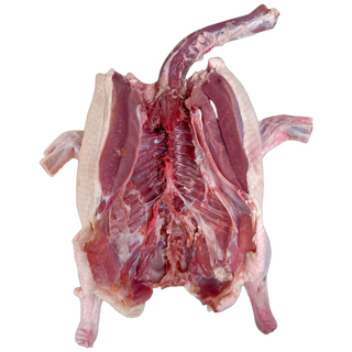 국내산 통오리 백숙 생오리, 28호(2.2kg~2.3kg) 개복, 1개