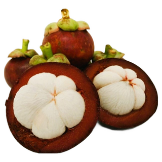 과일성지 생 망고스틴 프리미엄 로얄과 500g 1kg 2kg 3kg 5kg, 1박스, 500g_5~6과