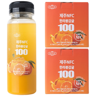 가열 없이 물 타지 않고 만든 NFC 제주 한라봉 감귤 주스 (냉동) 착즙 주스 과일 주스 과즙 음료, 12개, 180ml