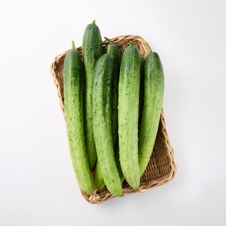 국내산 백오이 / 백다다기 특상품, 5개, 백오이 특상